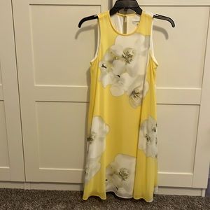 Calvin Klein Dress